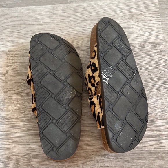 Sam Edelman Leopard Brahma Adora Sandal - Picture 4 of 6